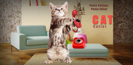 Kitty Cat Caller Prank pc screenshot Kitty Cat Caller Prank pc screenshot