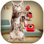 Kitty Cat Caller Prank icon