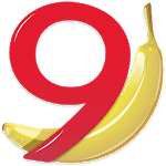 Banana Accounting Mobile icon