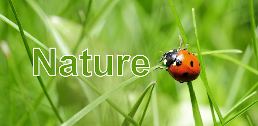 Nature Free - Europe pc screenshot