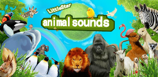 Little star - animal sounds pc screenshot Little star - animal sounds pc screenshot