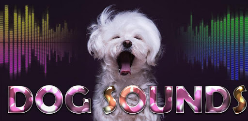 Top Dog Sounds pc screenshot Top Dog Sounds pc screenshot