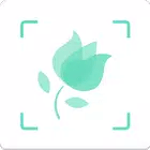 形色 for pc icon