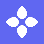 Bloom - Secure Identity icon