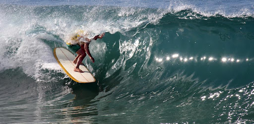 NobodySurf - Surf Video Search & Playlists pc screenshot