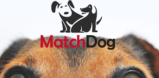 MatchDog pc screenshot MatchDog pc screenshot