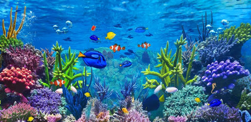 Aquarium Care pc screenshot
