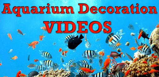 Aquarium Decoration VIDEOs pc screenshot Aquarium Decoration VIDEOs pc screenshot