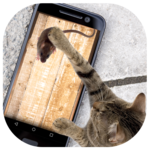 Mouse for Cats Simulator icon