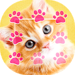 🐾 Kitty Cat Pattern Lock Screen 🐾 icon