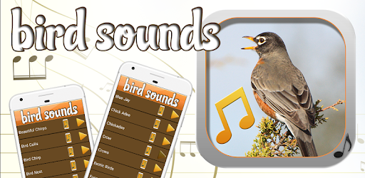 Bird Sounds Ringtones Collection pc screenshot
