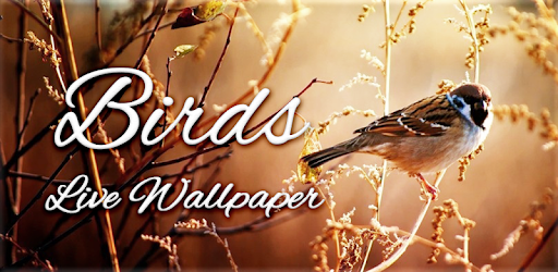 Birds Live Wallpaper pc screenshot Birds Live Wallpaper pc screenshot