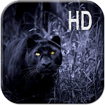 Black Panther Live Wallpaper icon