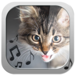 Cat Ringtones – Meow Sounds for pc icon Cat Ringtones – Meow Sounds for pc icon