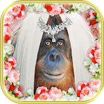 Crazy Wedding Pic-Face in Hole icon