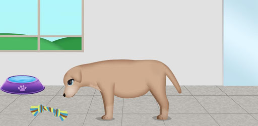 dog pregnancy surgery 2 pc screenshot dog pregnancy surgery 2 pc screenshot