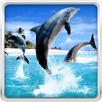 Dolphin HD Live Wallpaper icon