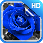 Blue Rose Live Wallpaper HD icon