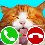 fake call cat 2 game icon