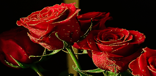 Flowers Images Gif pc screenshot Flowers Images Gif pc screenshot