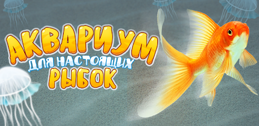 The aquarium for the cat pc screenshot The aquarium for the cat pc screenshot