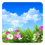 Flower Spring Live Wallpaper icon