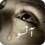 Sad Poetry - Urdu Lines icon
