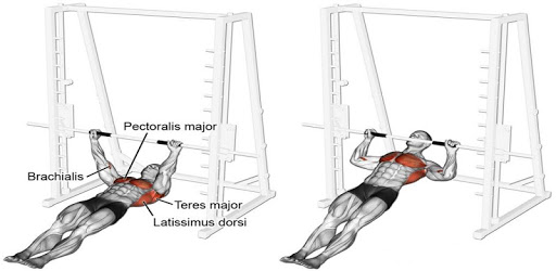 Gym Workout Exercises pc screenshot Gym Workout Exercises pc screenshot
