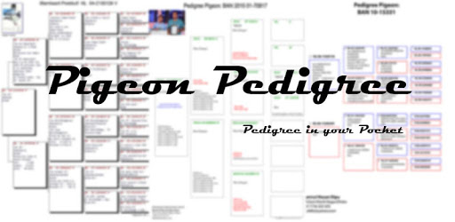 Pigeon Pedigree pc screenshot Pigeon Pedigree pc screenshot