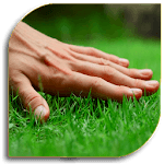 Lawn - Garden Care for pc icon