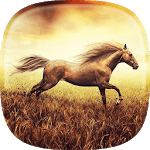 Horse Pictures Live Wallpaper icon