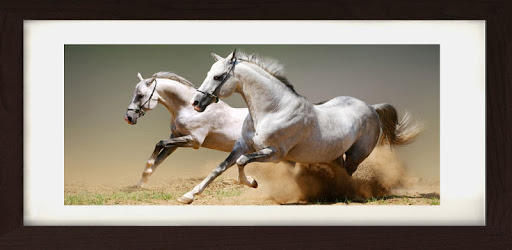Horses Photo Frames pc screenshot Horses Photo Frames pc screenshot