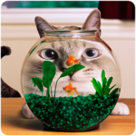 Funny cats Wallpapers icon