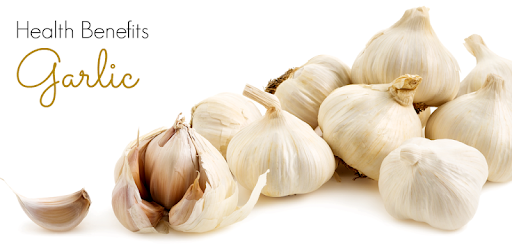 Benefits of Garlic pc screenshot
