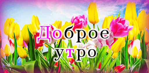 Доброе утро pc screenshot Доброе утро pc screenshot