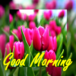 Good Morning New for pc icon