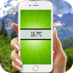 Digital Termometer for pc icon