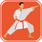 Learn Karate Techniques for pc icon Learn Karate Techniques for pc icon