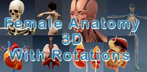 Female Anatomy 3d pc screenshot
