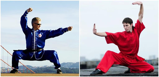 Learn Kung Fu Techniques pc screenshot Learn Kung Fu Techniques pc screenshot