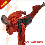 Best Kung Fu Learning Technique for pc icon Best Kung Fu Learning Technique for pc icon