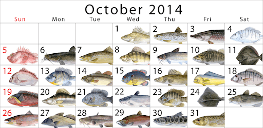Fish Planet Calendar pc screenshot
