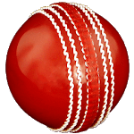 Cricket Coaching Tutorials icon