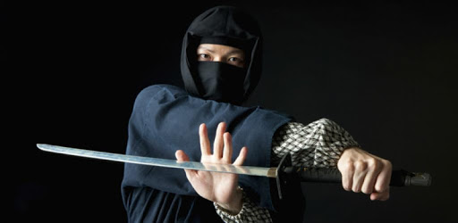 Ninjutsu pc screenshot