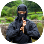 Ninjutsu for pc icon