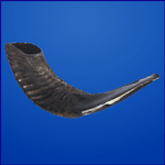 Shofars & Trumpets icon