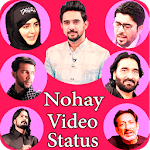 Nohay video status icon