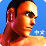Kungfu Punch CN icon