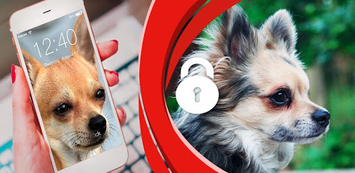 Chihuahua Dog Screen Lock for PC - How to Install on Windows PC, Mac