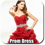 Prom Dresses icon